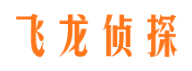 托里市调查公司